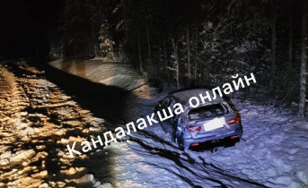В Мурманской области легковой автомобиль вылетел в кювет ДТП