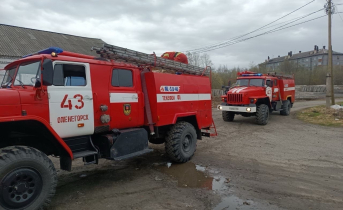 Пожарные