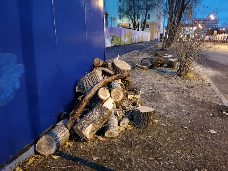 Вырубка деревьев