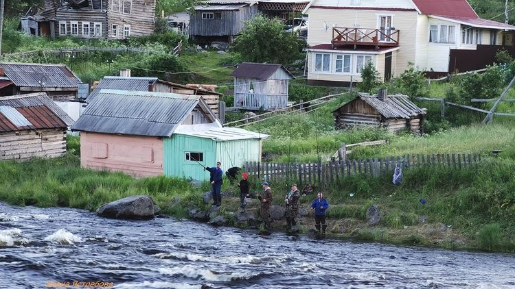 В Мурманской области разрешат свободную рыбалку на горбушу Рыбаки