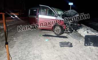 После аварии с погибшими детьми водителя заключили под стражу в Мурманской области