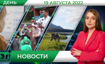 Полное видео программы «Дневные новости» Полное видео программы «Дневные новости»