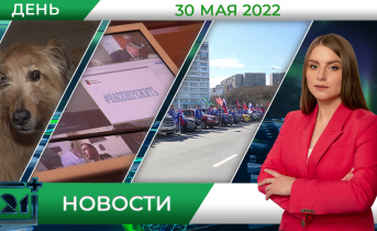 Полное видео программы «Дневные новости» Полное видео программы «Дневные новости»