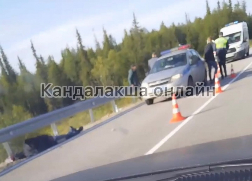В аварии на трассе в Мурманской области погиб водитель Авария
