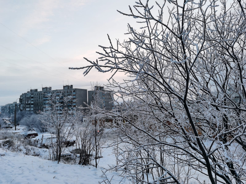 Крупная афера Мурманск