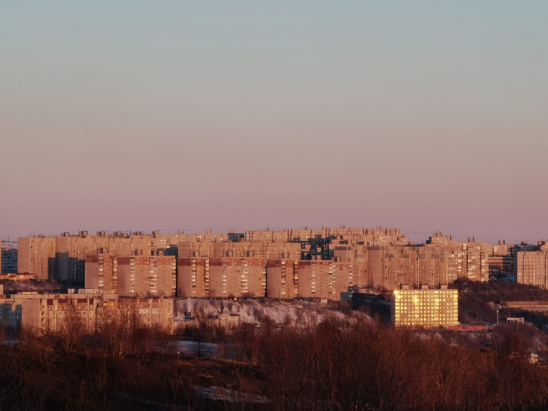 Агрессивные псы загрызли собаку Дом