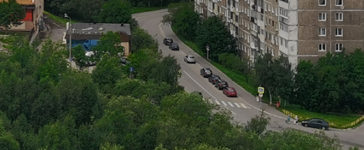 Стая агрессивных собак напала на ребенка в Мурманской области Дома