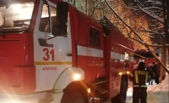 Ночное возгорание ликвидировали в Заполярье Пожар