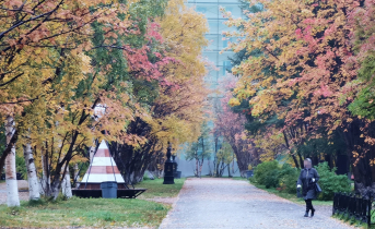 Женщина