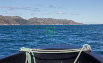 Морской гигант проплыв совсем рядом с катером в Заполярье Море