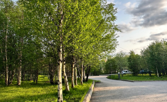 Какая погода ждет северян 14 июня? город