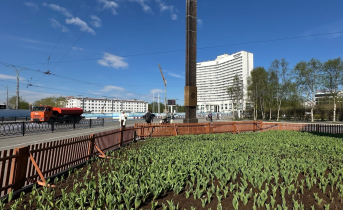 Город