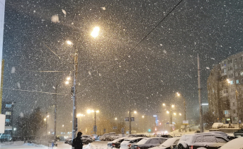 Розыск преступника Человек