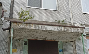 На жилом доме в Мурманской области выросли деревья Подъезд