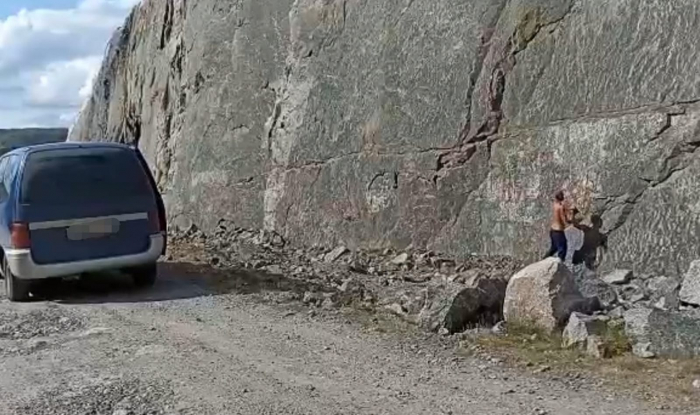 Вандалы