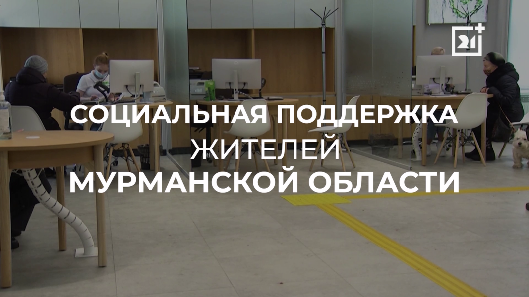 Северянам рассказали о пособиях в Мурманской области Поддержка