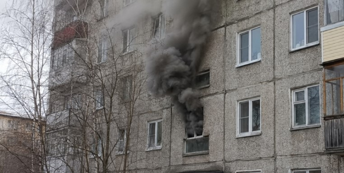 Человек со своим питомцем погибли в пожаре в Мурманске
