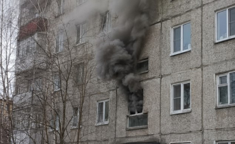 Человек со своим питомцем погибли в пожаре в Мурманске