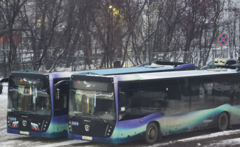 Бесплатный проезд на транспорте введут в Мурманской области Автобусы