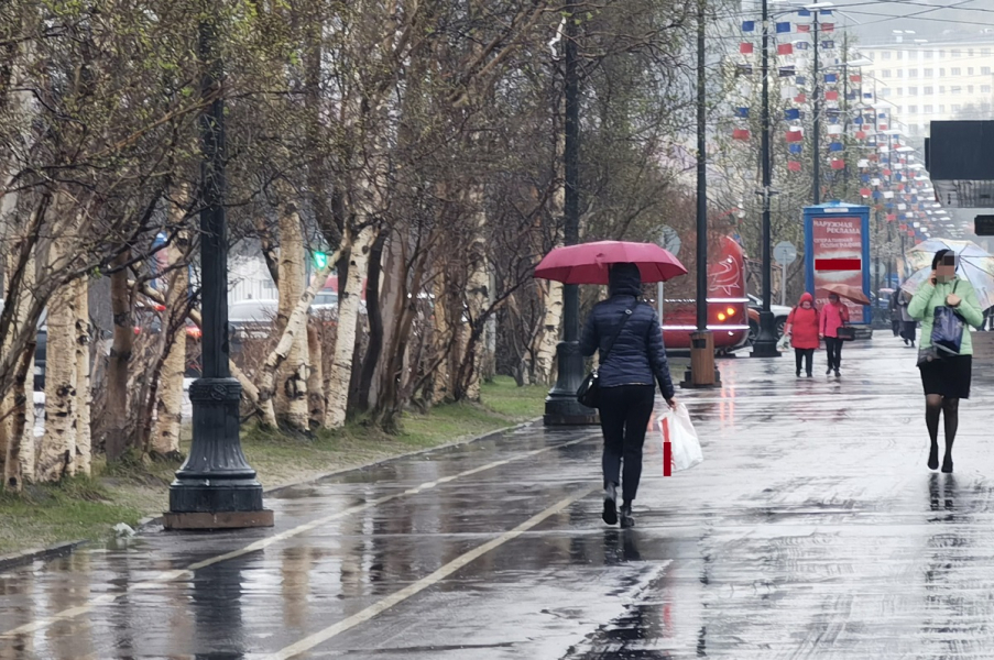 Синоптики рассказали о погоде на воскресенье в Мурманске Дождь