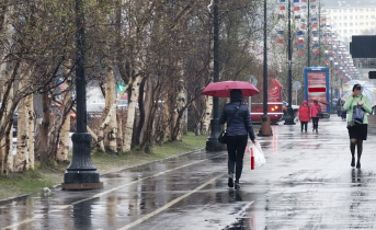 Синоптики рассказали о погоде на воскресенье в Мурманске Дождь