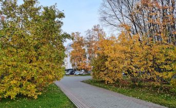 Мурманск