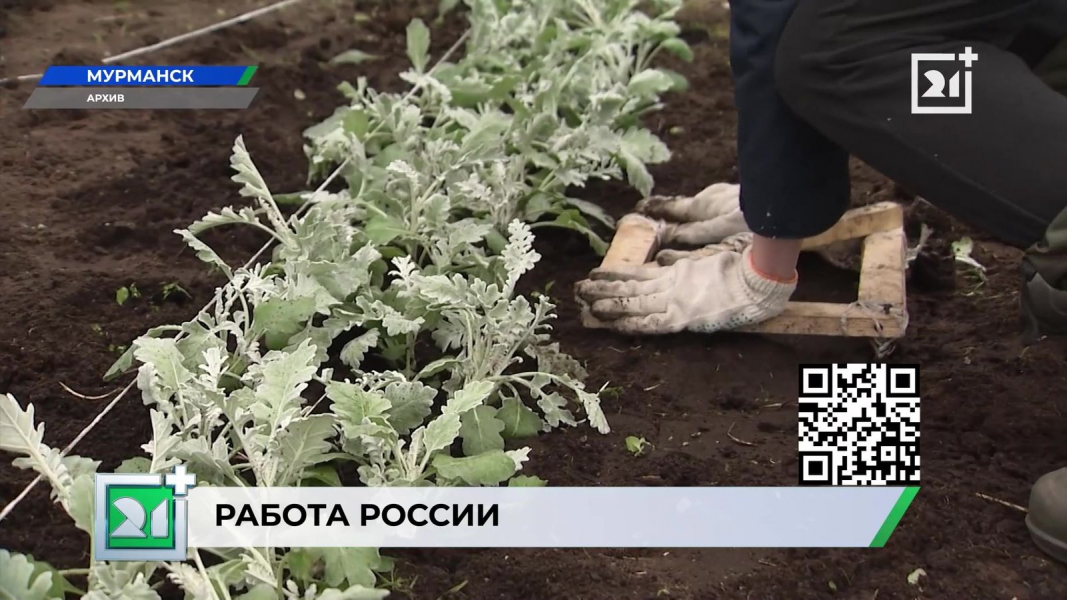 Юным северянам станет проще найти первую работу Первая работа в Мурманске