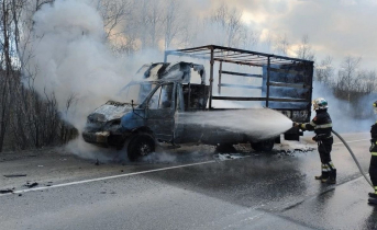 Газель