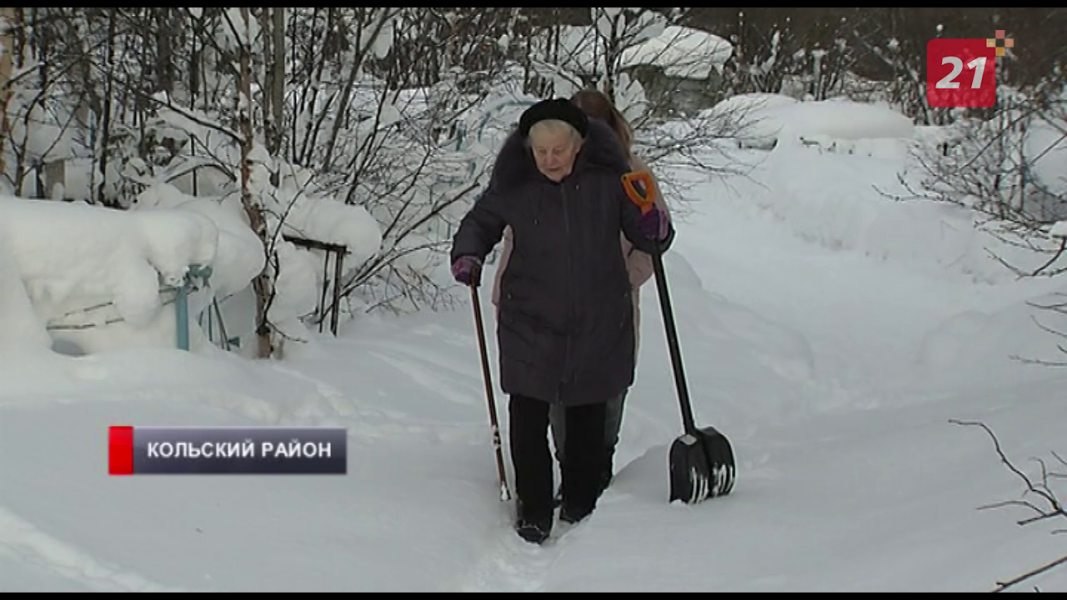 «На кладбище с лопатой». Пенсионерка из Мурманска рассказала о непростой ситуации Сугробы