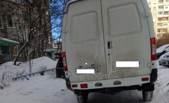 В полиции прокомментировали резонансный инцидент со стрельбой по собакам в Мурманске Микроавтобус
