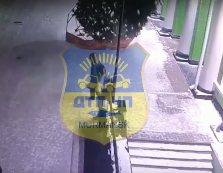 Момент падения елки на людей в Мурманске попал на видео Елка