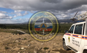 В Мурманской области идут поиски потерявшихся грибников Лес