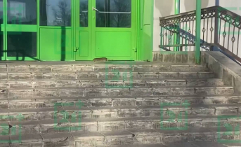 Крысы в Мурманской области Крыса