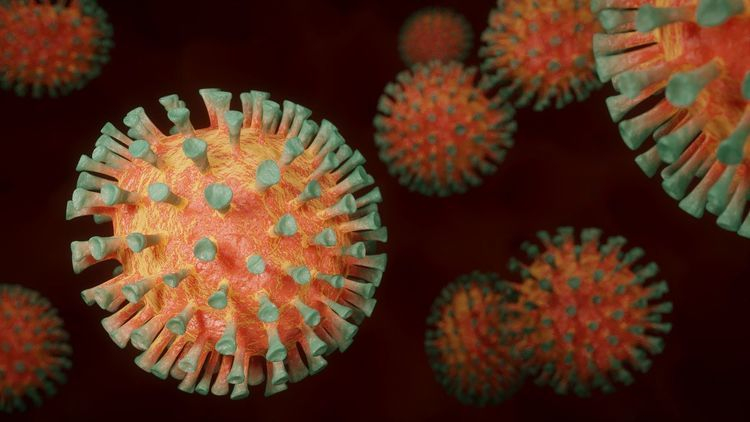 Стало известно количество заболевших коронавирусом в Мурманской области за сутки Коронавирус