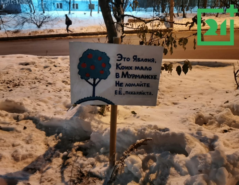 Яблоня Табличка