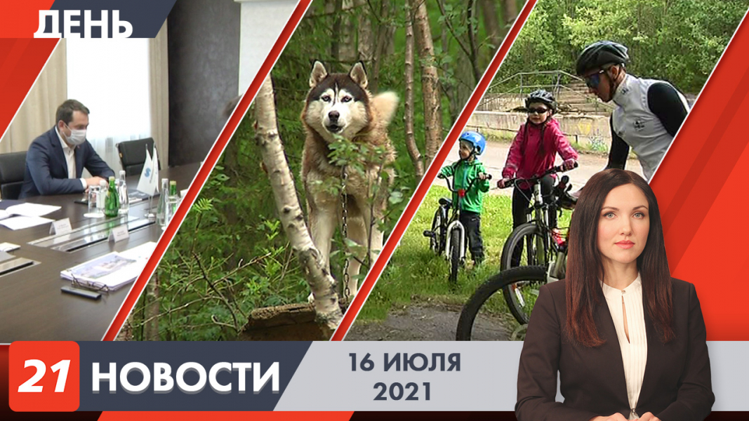 Дневные новости