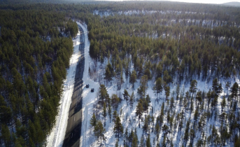 В Мурманской области будут судить банду подростков В Мурманской области будут судить банду подростков