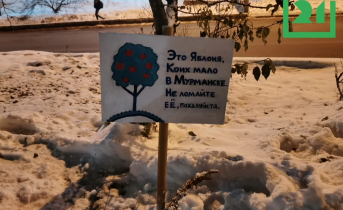Яблоня Табличка