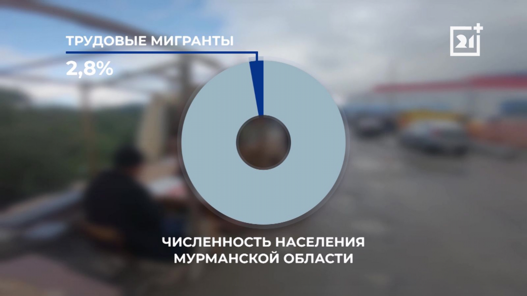 Поток мигрантов в Мурманской области снижается Диаграмма