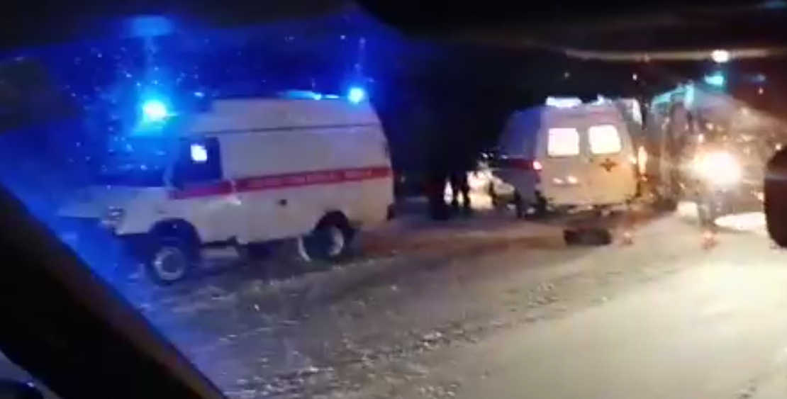 Северяне ищут пропавшую после серьезного ДТП сиамскую кошку ДТП