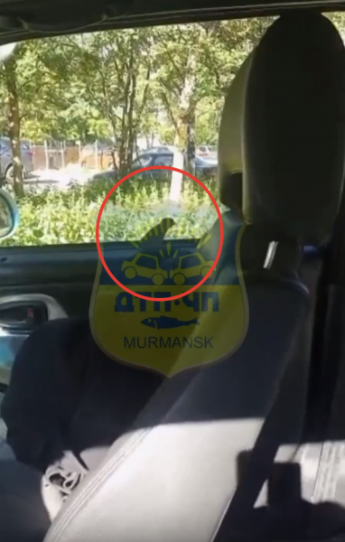Необычный пассажир забрался в автомобиль северянина в Мурманске Птица