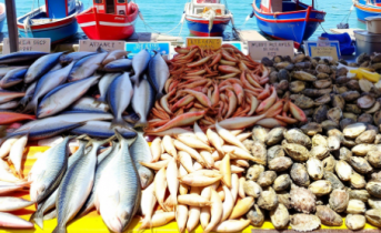 Мурманская рыба продолжает покорять мировые рынки морепродукты