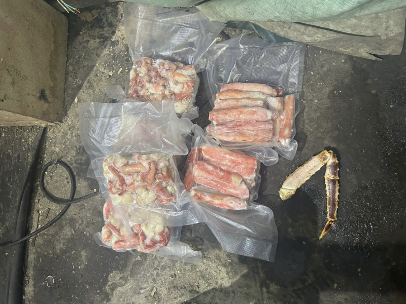 Незаконная рыбалка в Мурманской области Крабы