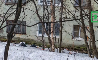 «Просто свиньи». Ужасная картина предстала перед северянами в Мурманске Мусор