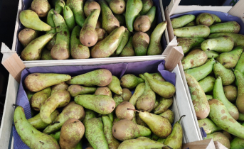 В Мурманске подешевели некоторые продукты Груши, фрукты овощи в Мурманске