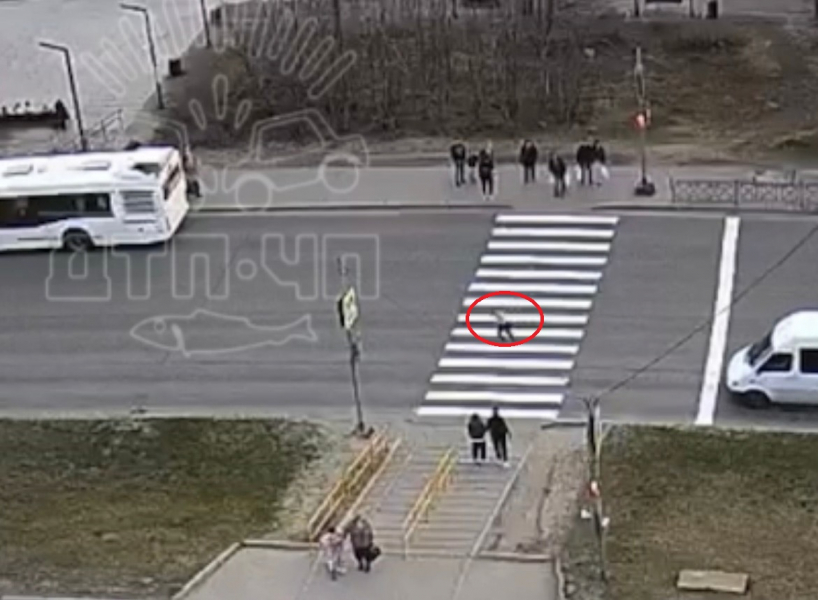 В Мурманске сбили пешехода ДТП