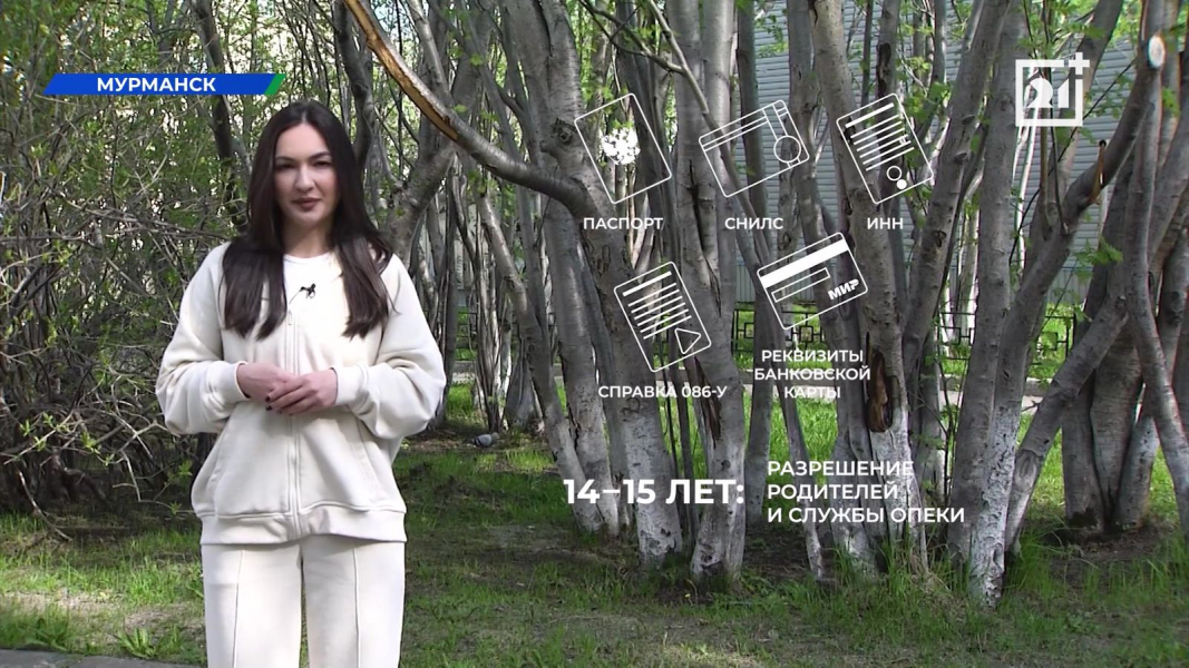 Новым рабочие места появятся в Мурманской области Схема трудоустройства