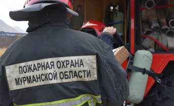 В районе АЗС в Мурманской области сгорел автомобиль Пожарные