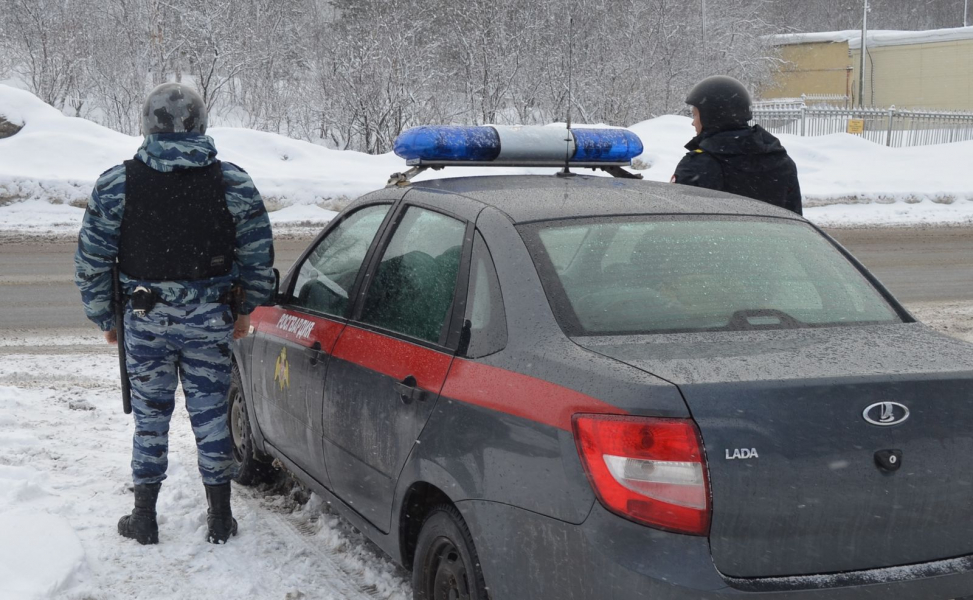 В Мурманской области задержали молодого парня Росгвардия