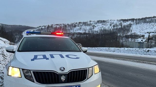Статистика ДТП Полицейский автомобиль
